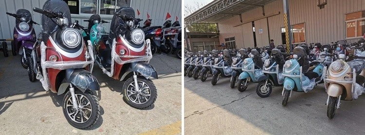 Adult 3 Wheel Electric Tricycle Scooter XL-ETS02