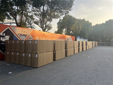 Xinling Electric Scooters Motocicletes elèctriques i lliurament a Egipte